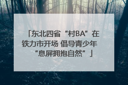 东北四省“村BA”在铁力市开场 倡导青少年“息屏拥抱自然”